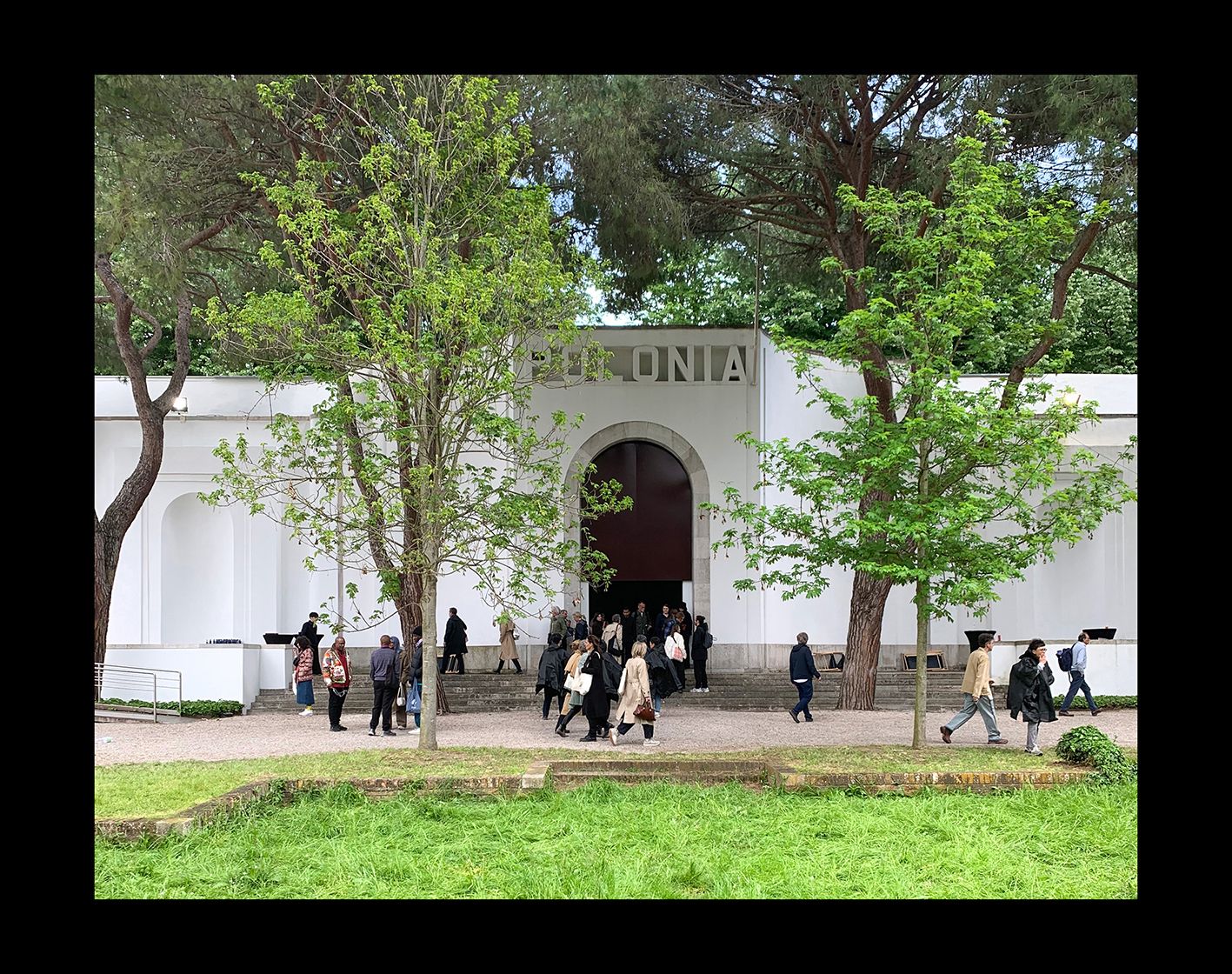 JT Picolo: From Concept to the Venice Biennale by Edward Dżułaj