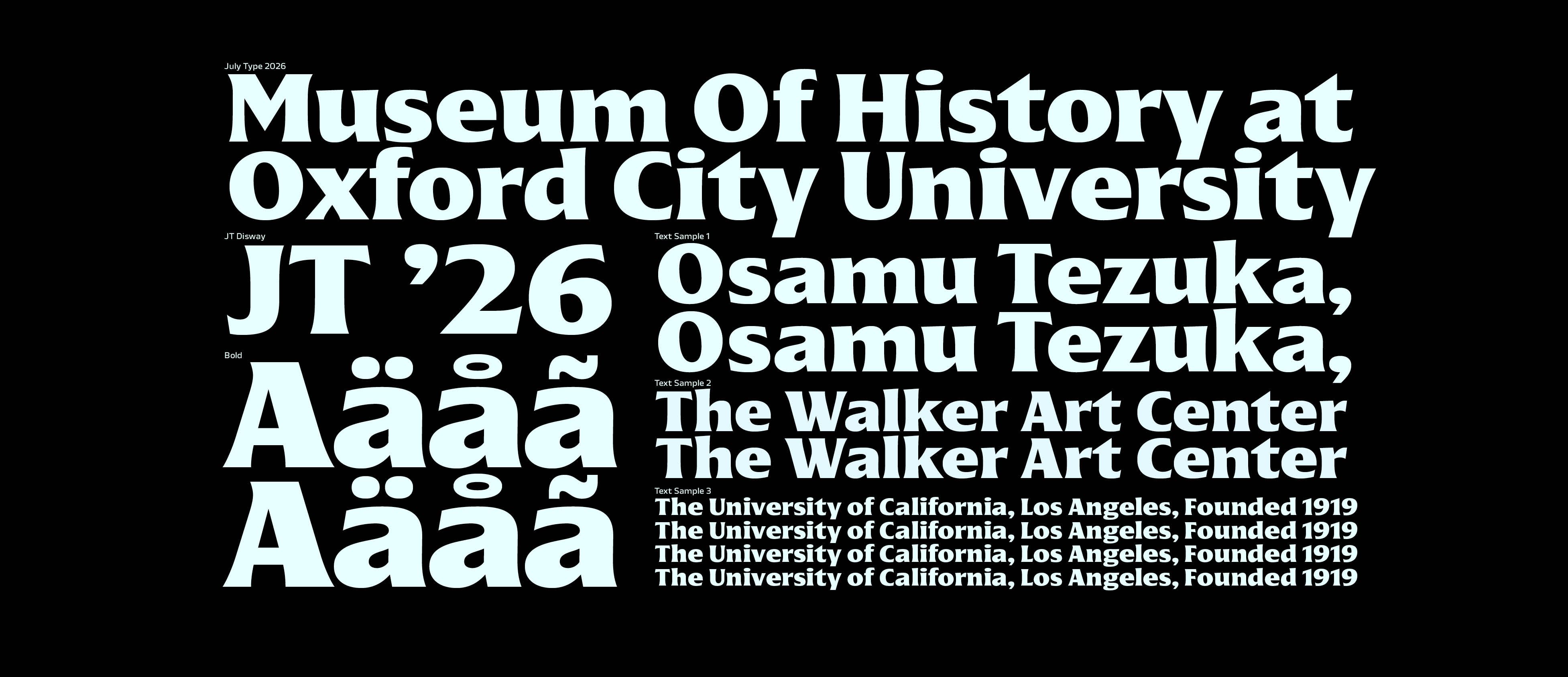 Slide 8
